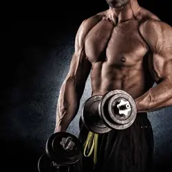 پوستر دیواری ورزشی کد HS123