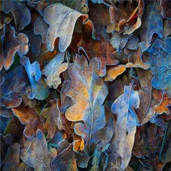 پوستر دیواری کد HT174