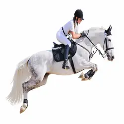 پوستر دیواری ورزشی کد HS148