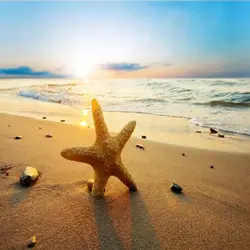 پوستر دریا و ستاره دریایی کد P0190