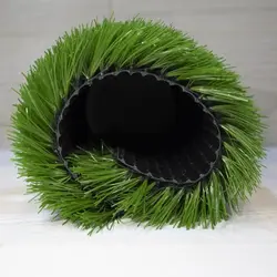 چمن 35 میل صدف