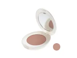 رژگونه چارمینگ شون