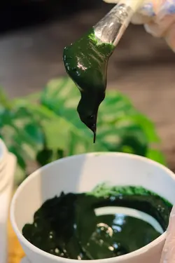 ماسک خورد شده جلبک هرموس - دیلان شاپ