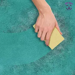 اسفنج جمع کننده مو و پرز حیوانات خانگی