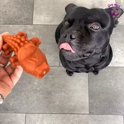 تشویقی سگ مدل تمساح Whimzees