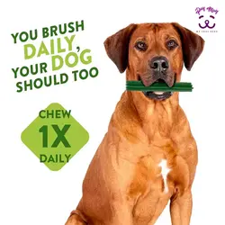 تشویقی سگ ستاره دنباله‌دار Whimzees (پک 56 عددی)