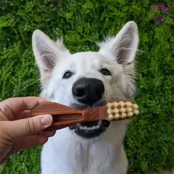 تشویقی سگ مسواک Whimzees سایز کوچک