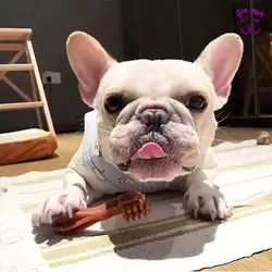 تشویقی سگ مسواک Whimzees سایز کوچک