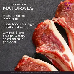 غذا خشک سگ بالغ نژاد کوچک با گوشت بره و برنج قهوه ای