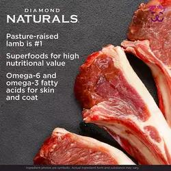 غذا خشک توله سگ با گوشت بره و برنج قهوه ای