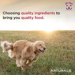 غذا خشک سگ با گوشت مرغ و برنج قهوه ای