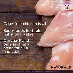 غذا خشک سگ با گوشت مرغ و برنج قهوه ای