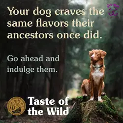 غذای خشک سگ Taste of the Wild با گوشت گوزن