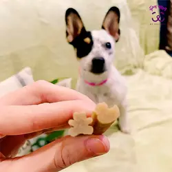 تشویقی دندانی توله سگ Whimzees سایز کوچک