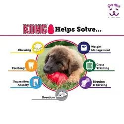 اسباب بازی محرک ذهنی سگ KONG