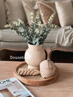 گیاه اکالیپتوس