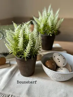 گل سنبل بزرگ