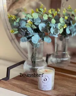 گیاه دوبرگ (اکالیپتوس) ( 10334 )