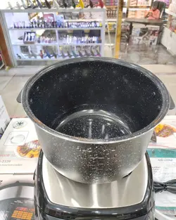 پلوپز همه کاره روگن مدل RU-2120 | دایتون پلاس ایران