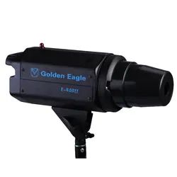 فلاش Golden Eagle E600 | فروشگاه دریم لایت