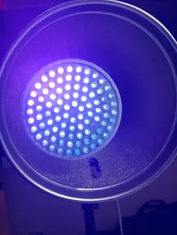 لامپ UV (فرابنفش) | فروشگاه دریم لایت