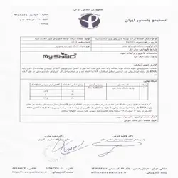 ماسک آنتی وایرال مای شیلد 2 لایه نقره سوپر پروتکشن(سایز بزرگسال، نوجوان، کودک)