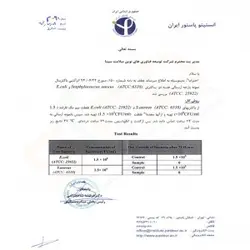 ماسک آنتی وایرال مای شیلد 2 لایه نقره سوپر پروتکشن(سایز بزرگسال، نوجوان، کودک)