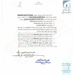 ماسک آنتی وایرال مای شیلد 2 لایه نقره سوپر پروتکشن(سایز بزرگسال، نوجوان، کودک)