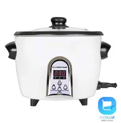 پلوپز هاردستون RCM4310 - فروشگاه اینترنتی المارکت