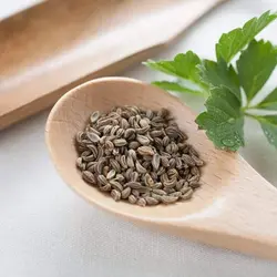 بذر جعفری ارگانیک