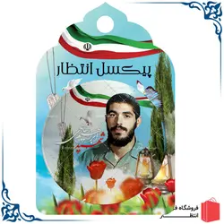 پیکسل شهید ابراهیم هادی