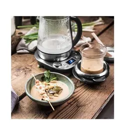 چای ساز گاستروبک مدل GASTROBACK 42438