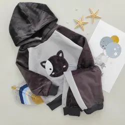 هودی شلوار پیشی کد 1178 - فندق شاپ - لباس نوزاد و کودک