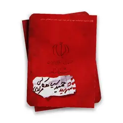 مجموعه شناسنامه شهدا (  شهید حمید سیاهکالی مرادی )