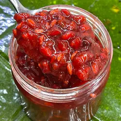 ترشک اناردون - گیلانیتو