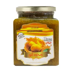 رب میوه زردآلو - گیلانیتو