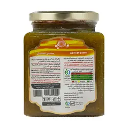 رب میوه زردآلو - گیلانیتو