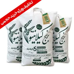 برنج پرمحصول با تخفیف ویژه (خرید سه کیسه به بالا) - گیلانیتو
