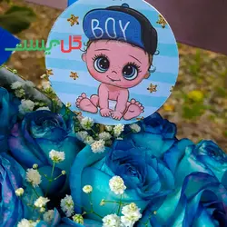 باکس گل گهواره ای نوزاد آبتین - باکس گل کریر آبی نوزاد پسر