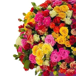 باکس گل بهاری ترلان- خرید باکس گل استوانه بنفش با گل های رز