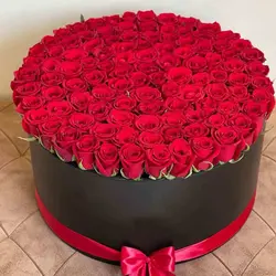 باکس گل 100 شاخه رز هلندی - خرید مستقیم از گلخانه بدون واسطه