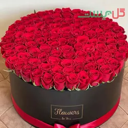 باکس گل 100 شاخه رز هلندی - خرید مستقیم از گلخانه بدون واسطه
