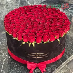 باکس گل 100 شاخه رز هلندی - خرید مستقیم از گلخانه بدون واسطه