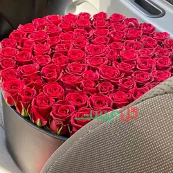باکس گل 100 شاخه رز هلندی - خرید مستقیم از گلخانه بدون واسطه