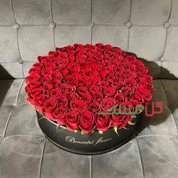 باکس گل 100 شاخه رز هلندی - خرید مستقیم از گلخانه بدون واسطه