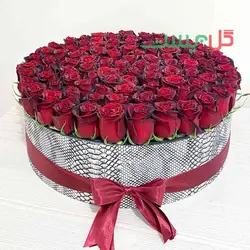 باکس گل 100 شاخه رز هلندی - خرید مستقیم از گلخانه بدون واسطه