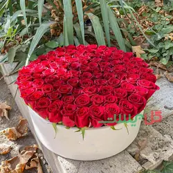 باکس گل 100 شاخه رز هلندی - خرید مستقیم از گلخانه بدون واسطه