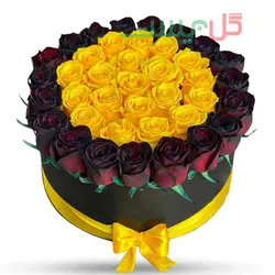 باکس گل رز کهربا -  باکس گل  40 شاخه رز زرد و قرمز کبود
