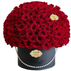 باکس گل رز 200 شاخه قرمز | خرید باکس گل لاکچری بزرگ رز