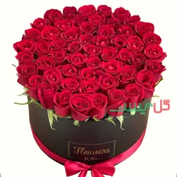 باکس گل 50 شاخه رز قرمز ویدا | سفارش باکس گل بزرگ و شیک رز